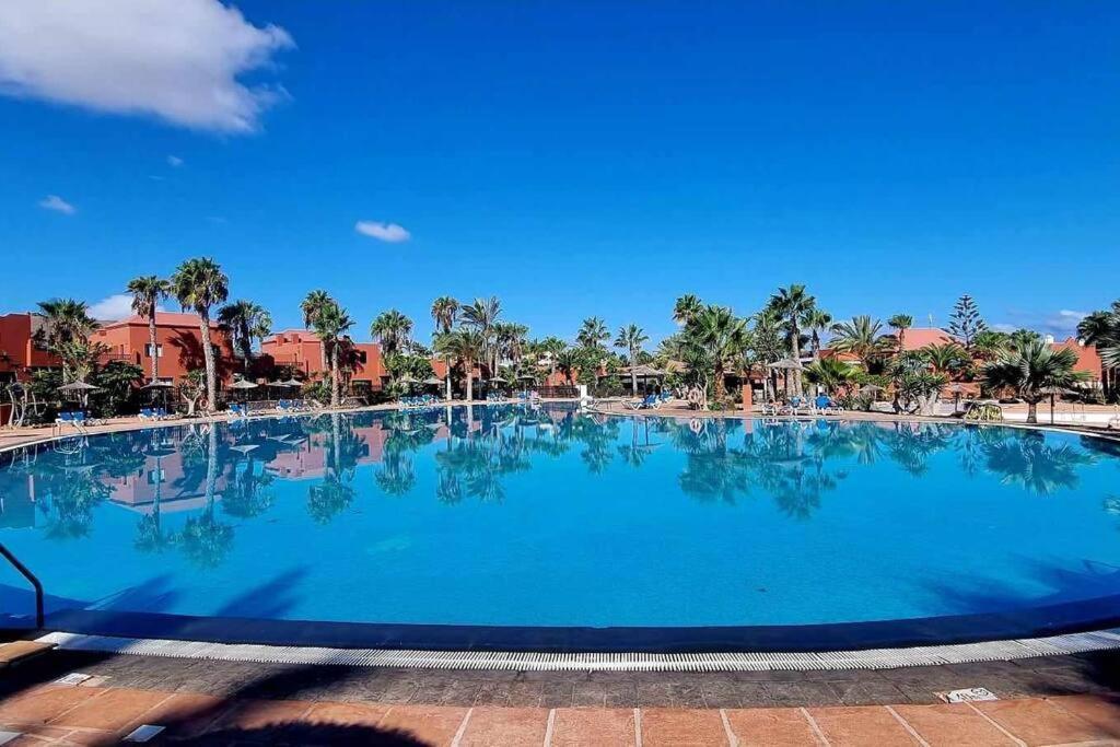 Appartamento Bouganville Con Terrazza E Piscina Коральео Экстерьер фото