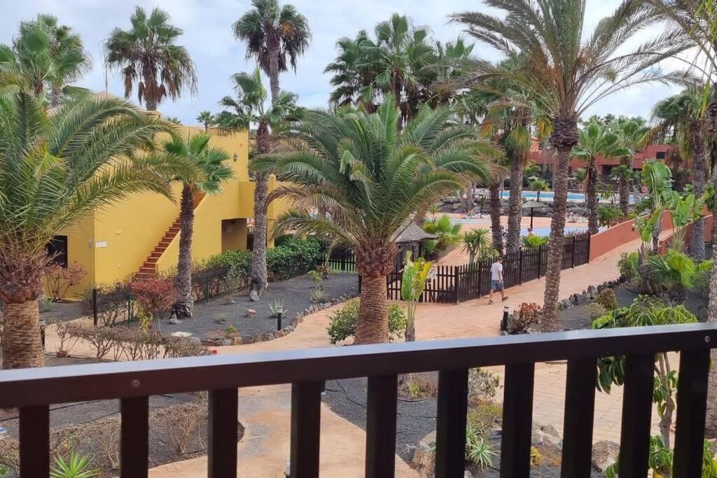 Appartamento Bouganville Con Terrazza E Piscina Коральео Экстерьер фото