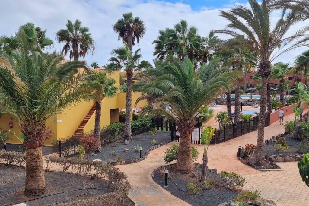 Appartamento Bouganville Con Terrazza E Piscina Коральео Экстерьер фото