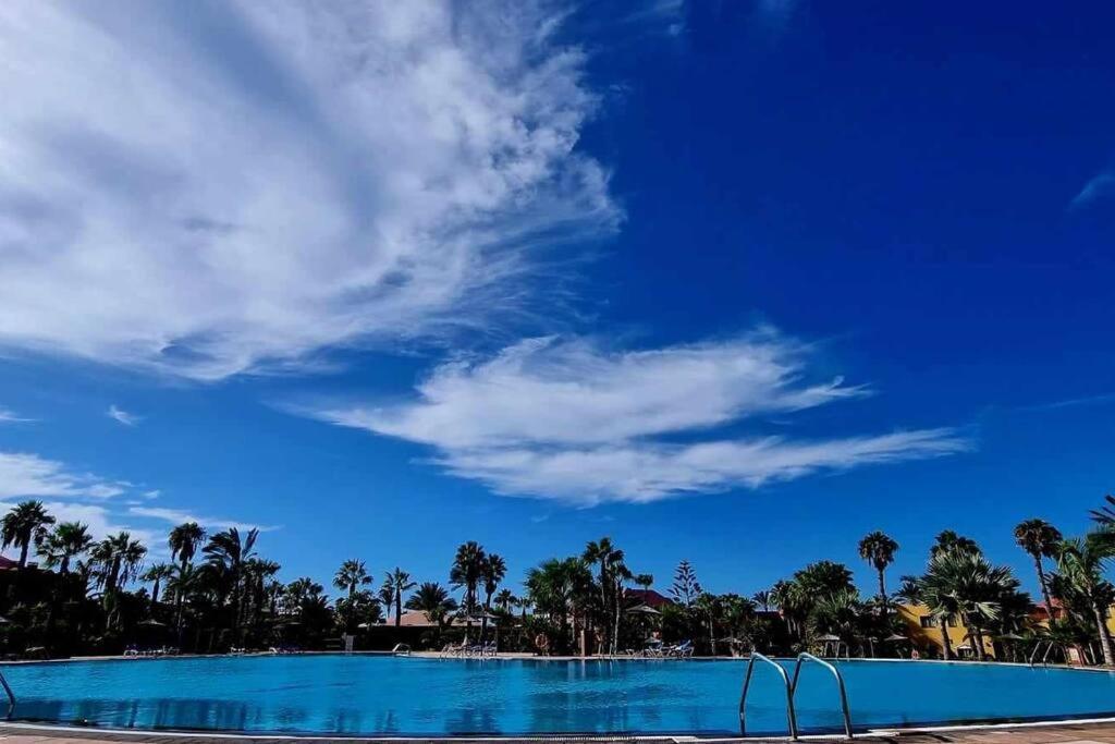 Appartamento Bouganville Con Terrazza E Piscina Коральео Экстерьер фото